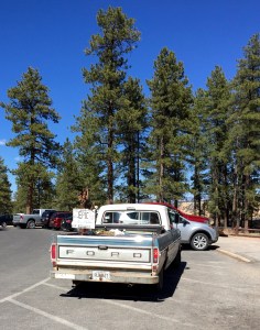 FullSizeRender (602) - Copy