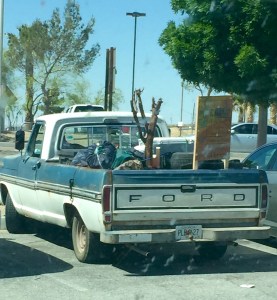 FullSizeRender (604) - Copy