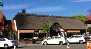 FullSizeRender (611) - Copy