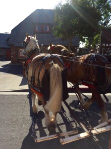 FullSizeRender (612) - Copy