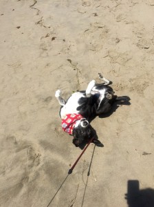 FullSizeRender (637) - Copy