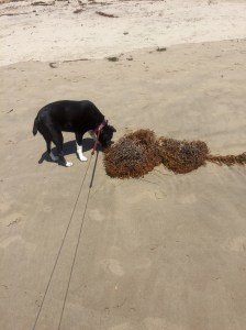 FullSizeRender (639) - Copy