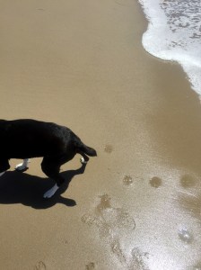 FullSizeRender (642) - Copy