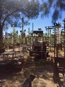 FullSizeRender (653) - Copy