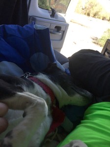 FullSizeRender (657) - Copy