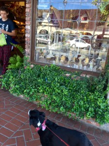 FullSizeRender (660) - Copy