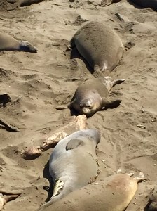 FullSizeRender (673) - Copy