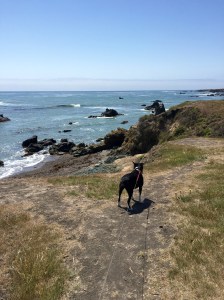 FullSizeRender (681) - Copy