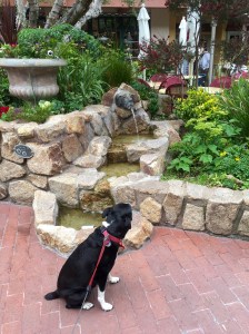 FullSizeRender (688) - Copy