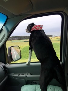 FullSizeRender (689) - Copy