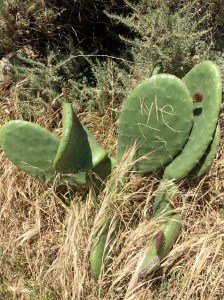 FullSizeRender (696) - Copy