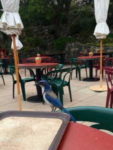 FullSizeRender (705) - Copy