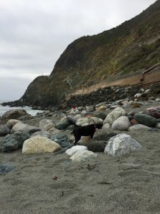 FullSizeRender (707) - Copy