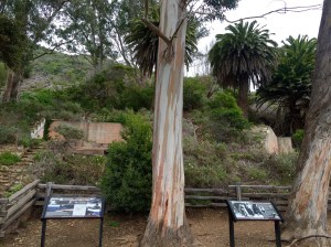 FullSizeRender (711) - Copy