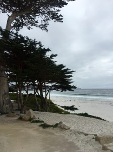 FullSizeRender (713) - Copy