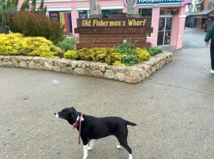 FullSizeRender (716) - Copy