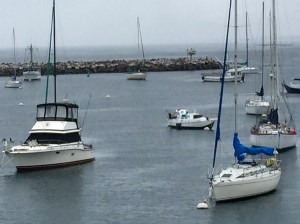 FullSizeRender (720) - Copy