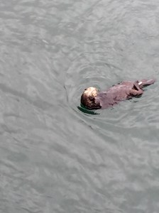 FullSizeRender (721) - Copy