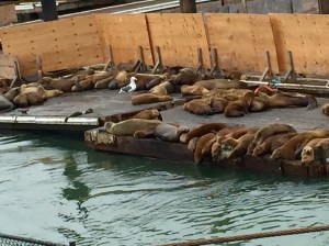 FullSizeRender (724) - Copy