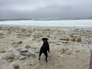 FullSizeRender (730) - Copy