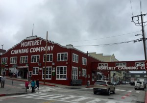 FullSizeRender (731) - Copy