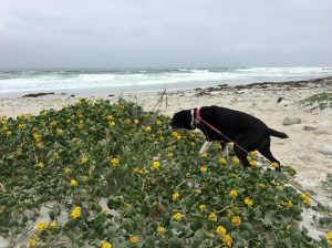 FullSizeRender (733) - Copy