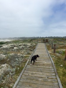 FullSizeRender (735) - Copy