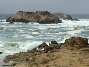 FullSizeRender (739) - Copy