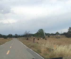 FullSizeRender (742) - Copy