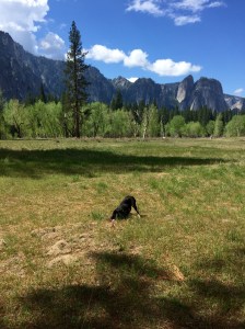 FullSizeRender (749) - Copy