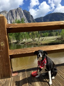 FullSizeRender (750) - Copy