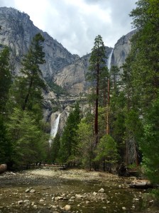 FullSizeRender (755) - Copy