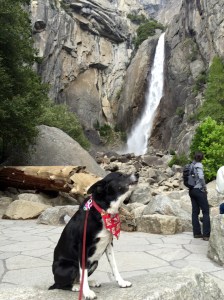 FullSizeRender (757) - Copy