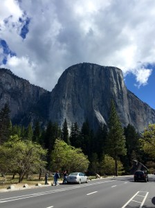 FullSizeRender (765) - Copy