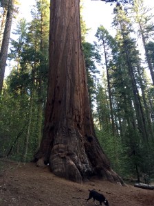 FullSizeRender (771) - Copy