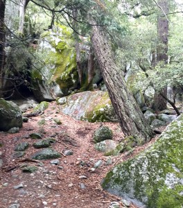 FullSizeRender (787) - Copy