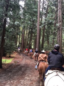 FullSizeRender (788) - Copy