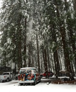 FullSizeRender (790) - Copy