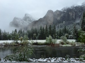 FullSizeRender (795) - Copy