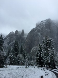 FullSizeRender (796) - Copy