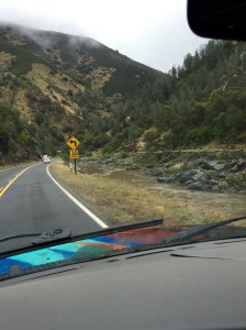 FullSizeRender (798) - Copy