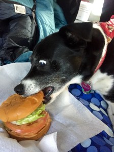 FullSizeRender (803) - Copy