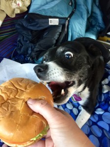 FullSizeRender (804) - Copy