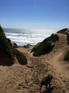 FullSizeRender (805) - Copy