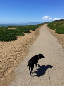 FullSizeRender (806) - Copy