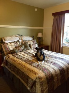 FullSizeRender (812) - Copy