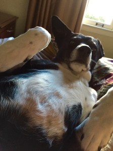 FullSizeRender (817) - Copy