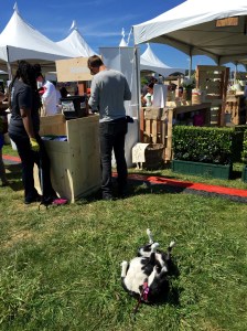 FullSizeRender (818) - Copy