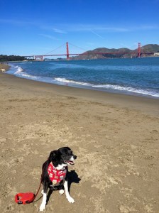 FullSizeRender (819) - Copy