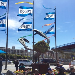 FullSizeRender (831) - Copy